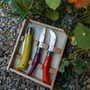 Opinel Stainless & Carbon Steel Garden Knife Trio - 3 Colors 001617