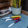 Opinel Stainless & Carbon Steel Garden Knife Trio - 3 Colors 001617