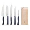 Opinel Intempora 5 Piece Chef Knife Set with Block 002404